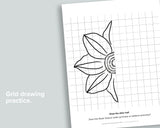 Flower Symmetry Drawing Pages