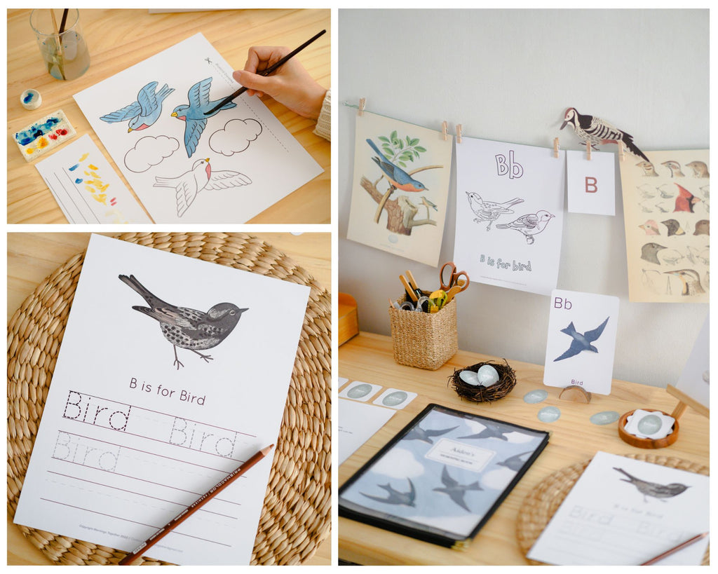 Nature Alphabet Guide