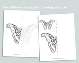 Symmetry Drawing Pages