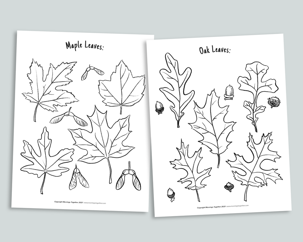 Nature Coloring Pages