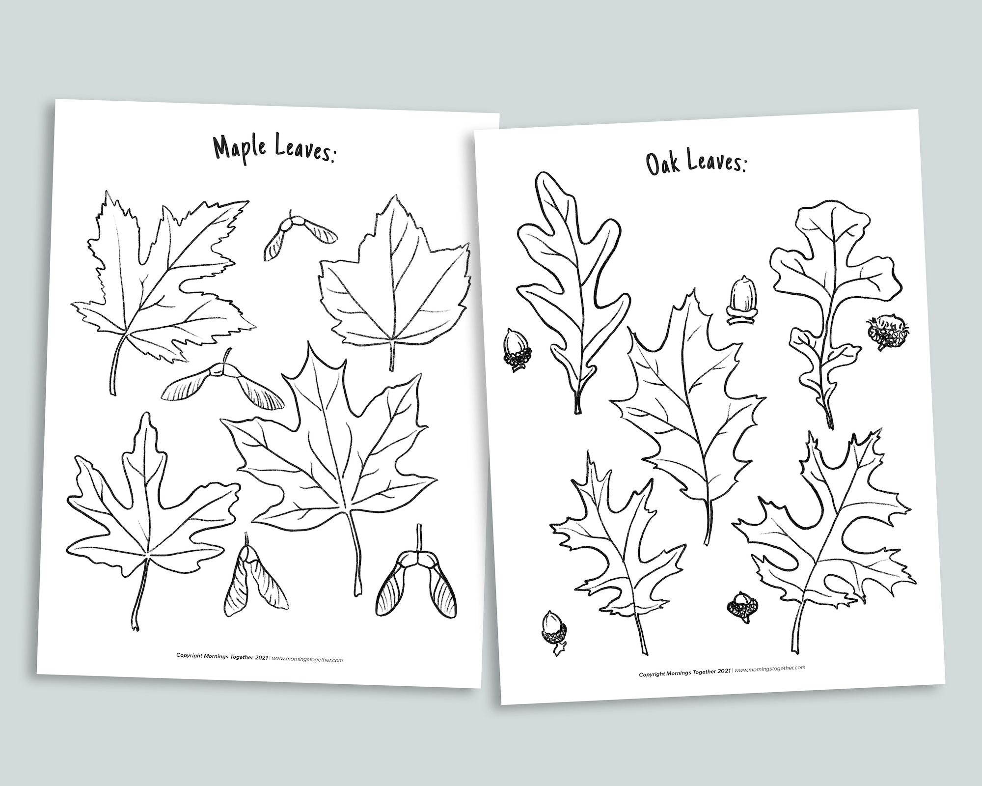 Nature Coloring Pages