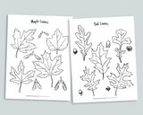 Nature Coloring Pages