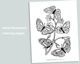 Butterfly & Caterpillar Coloring Pages