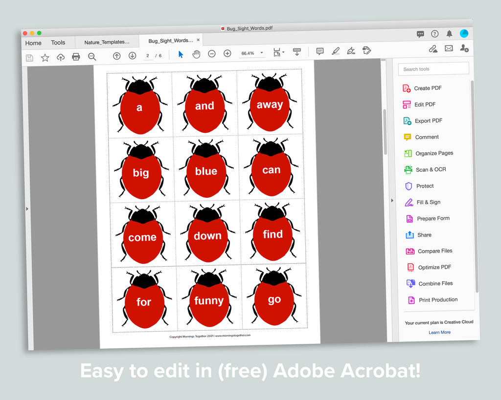 Editable Bug Sight Word Cards Freebie