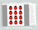 Editable Bug Sight Word Cards Freebie