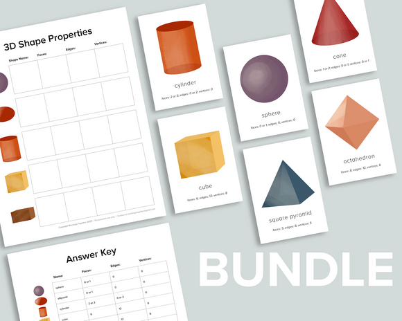 3D Shapes Bundle