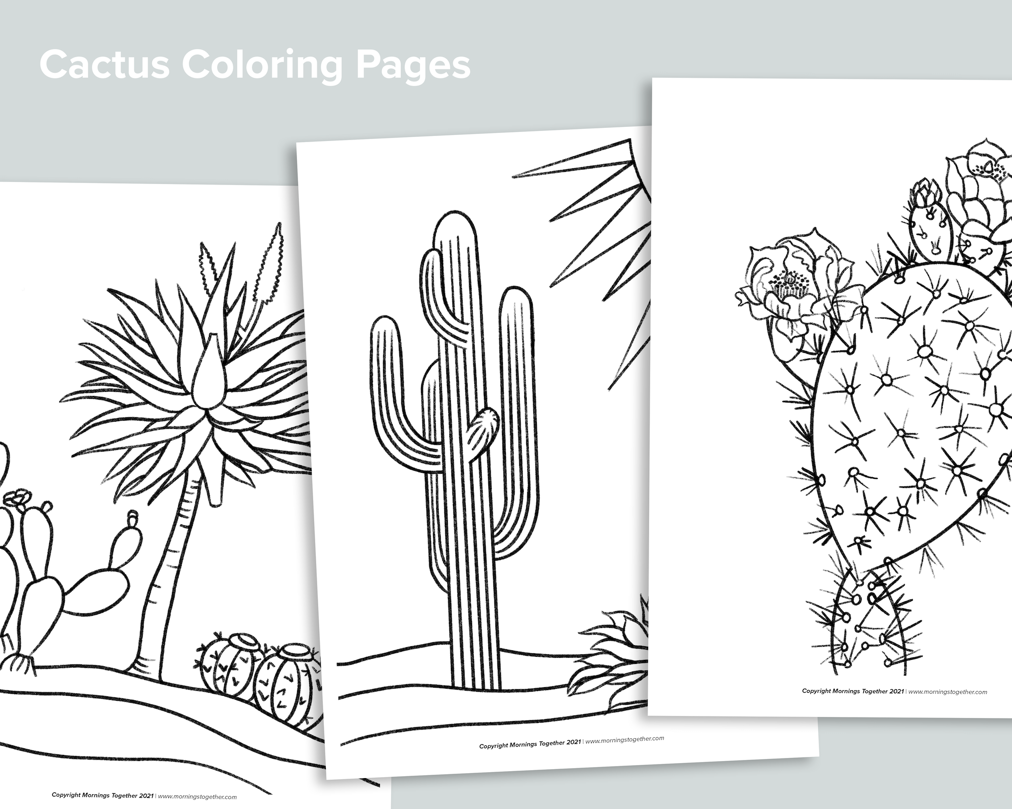 Cactus Coloring Pages Freebie