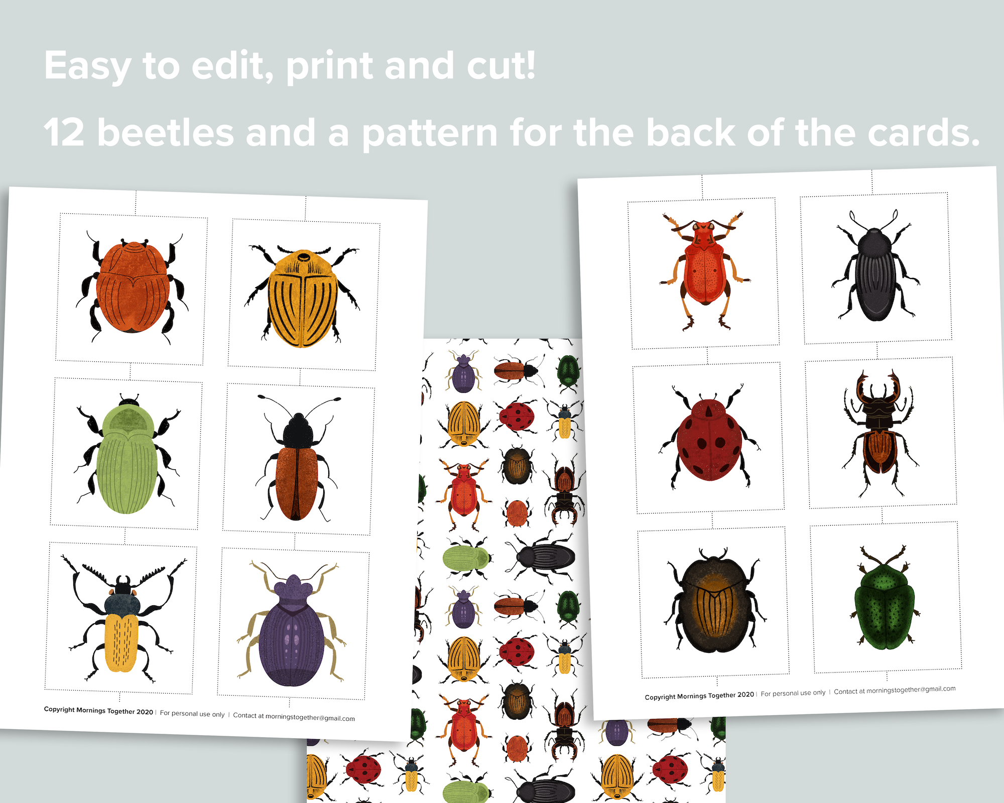 Beetle Matching Cards