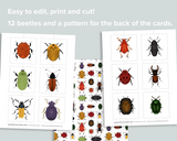 Beetle Matching Cards