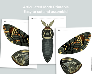 Articulated Moth