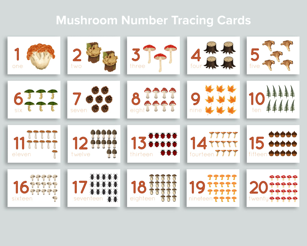 Mushroom Activity Pack