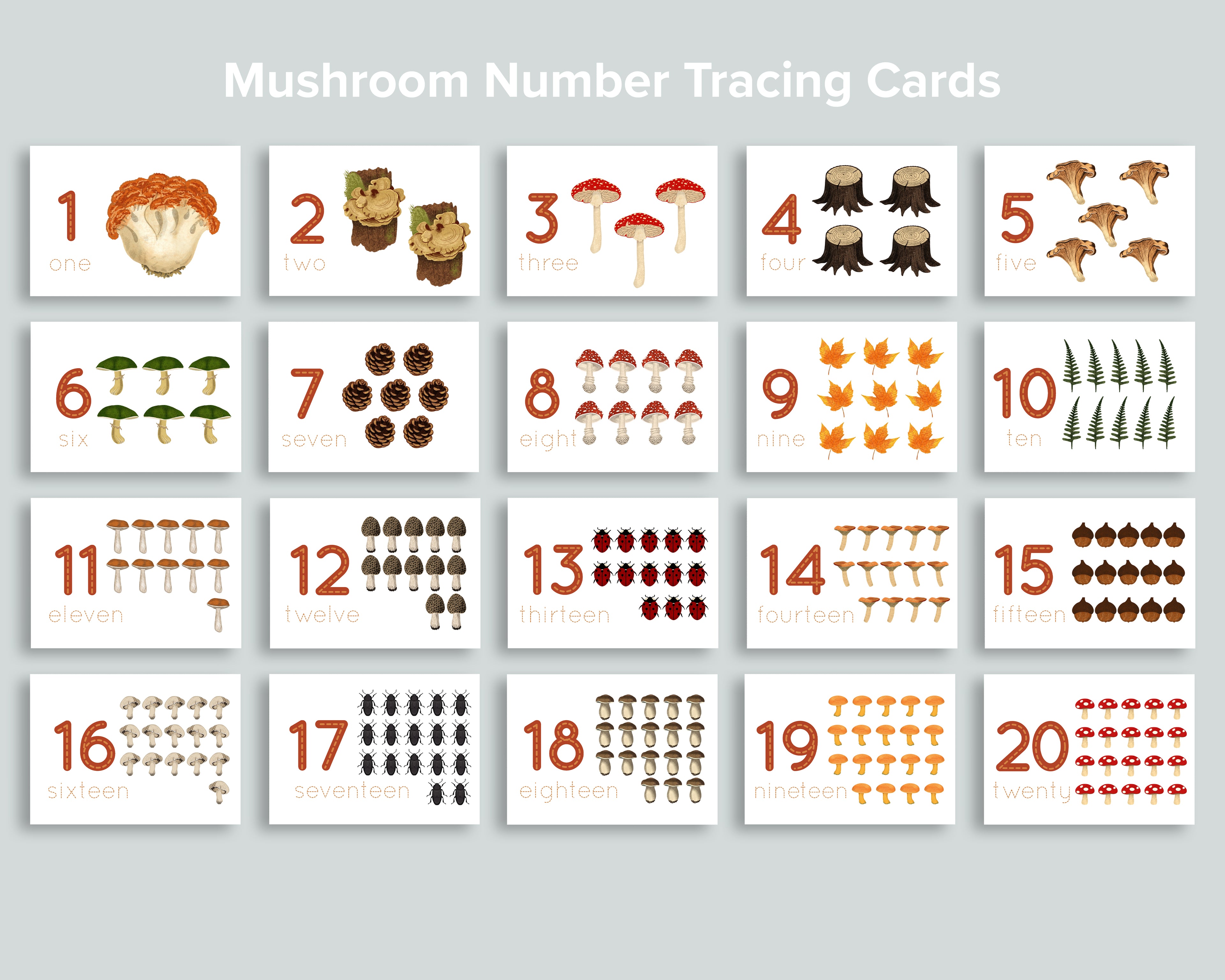 Mushroom Activity Pack