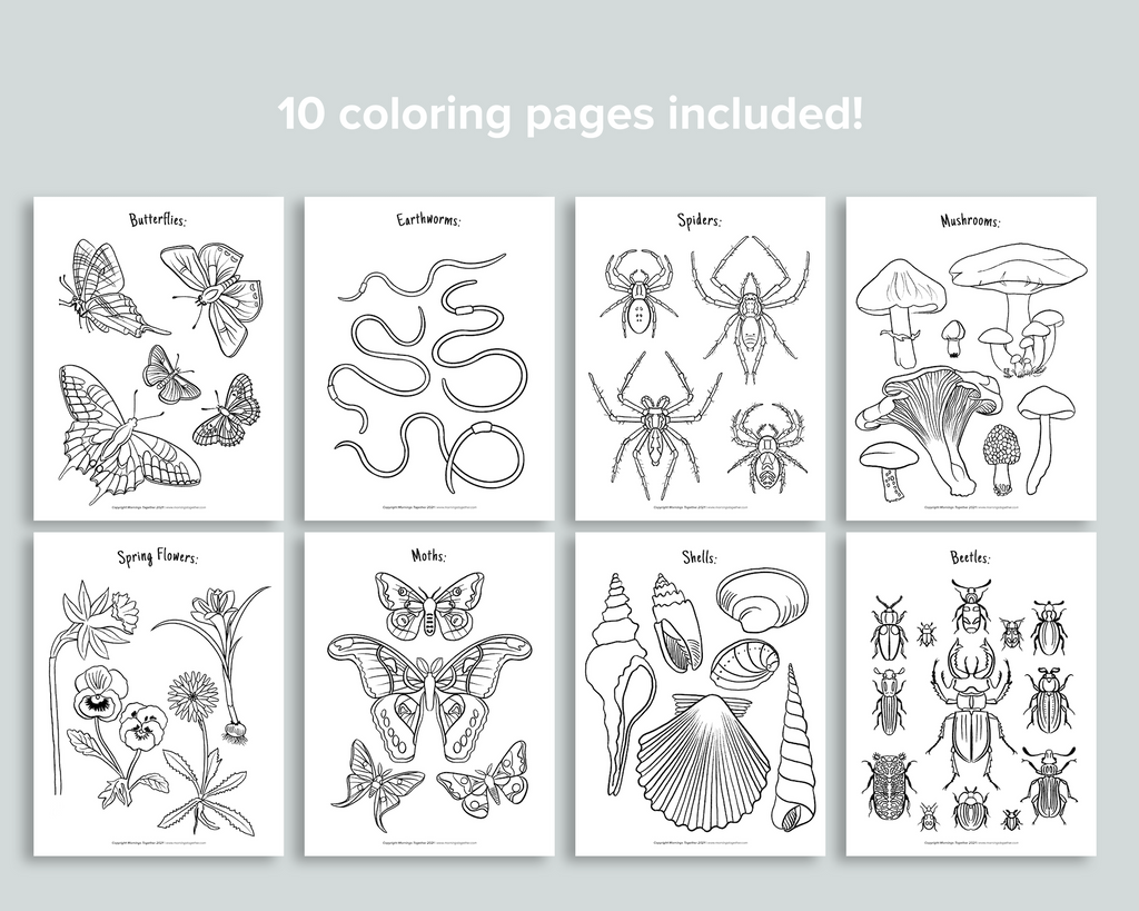 Nature Coloring Pages