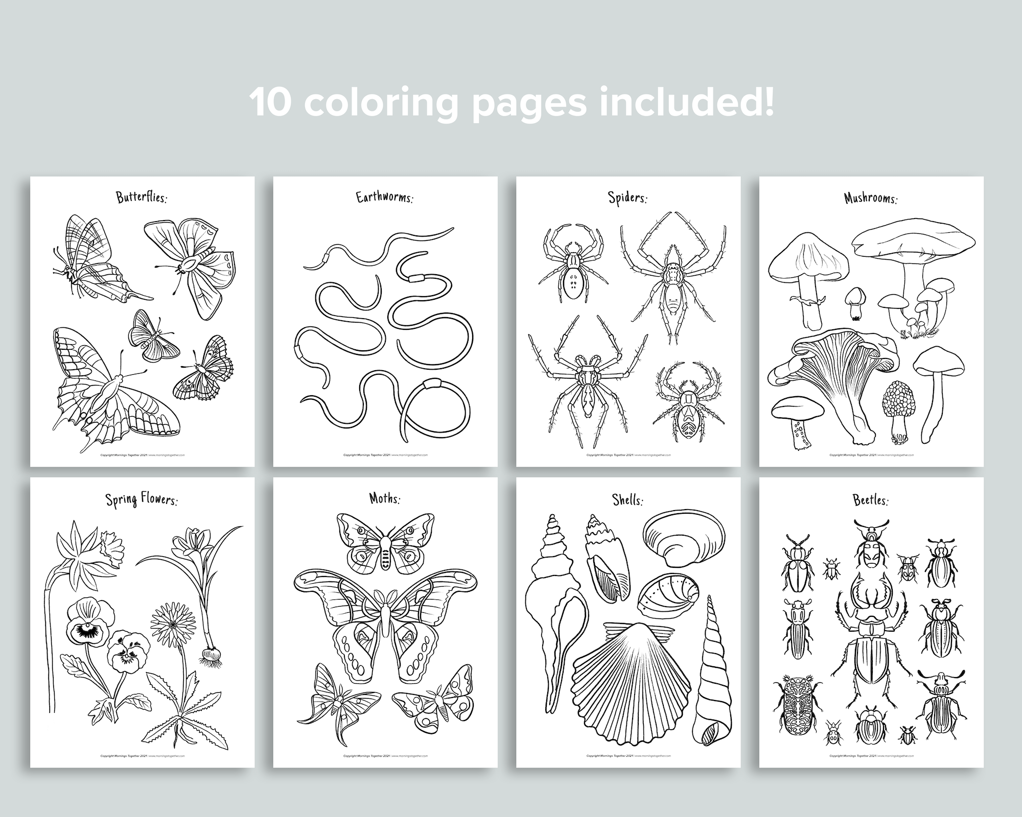 Nature Coloring Pages