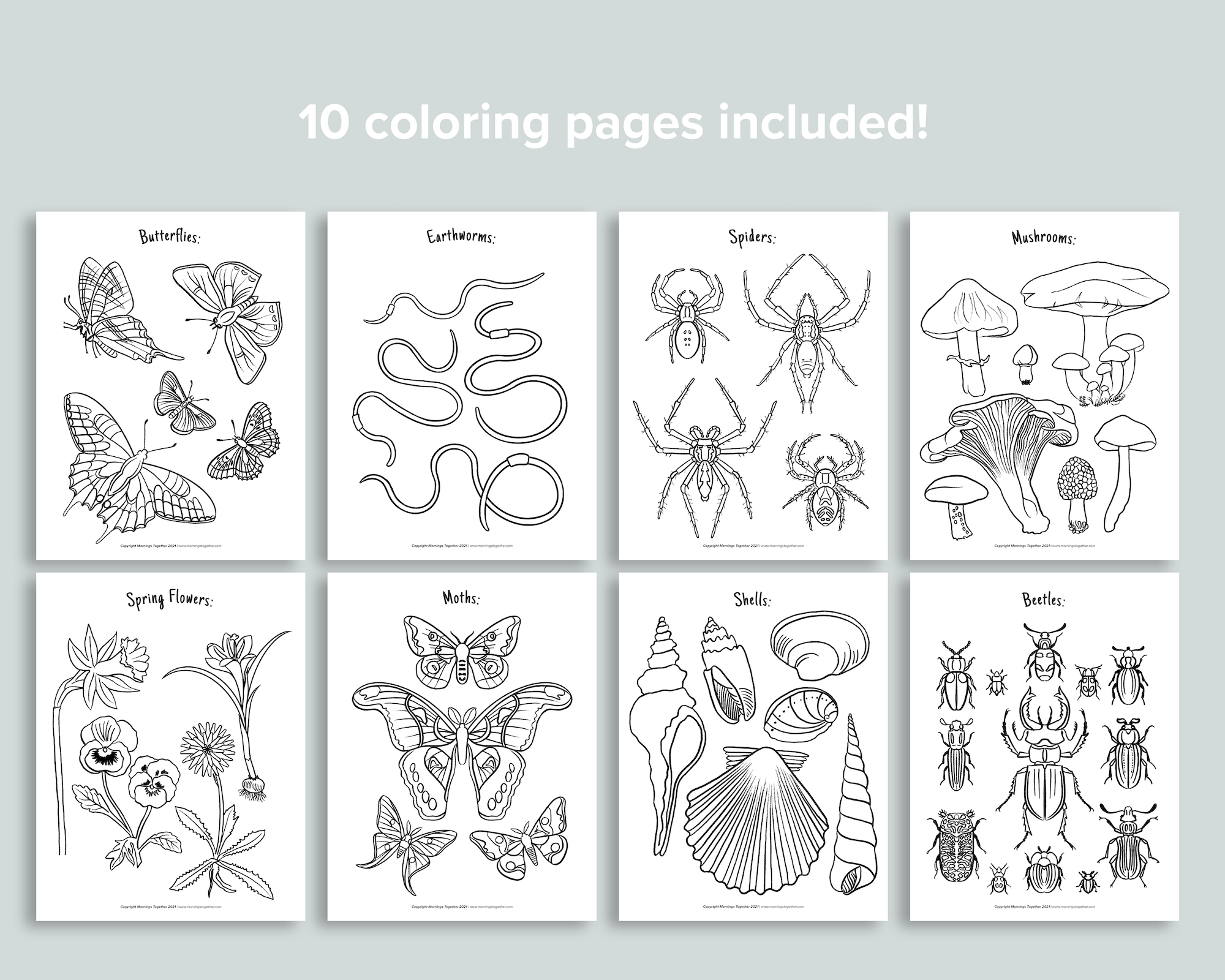 Nature Coloring Sheets  Cook Museum of Natural Science