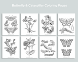 Butterfly & Caterpillar Coloring Pages