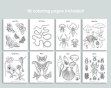 Nature Coloring Pages