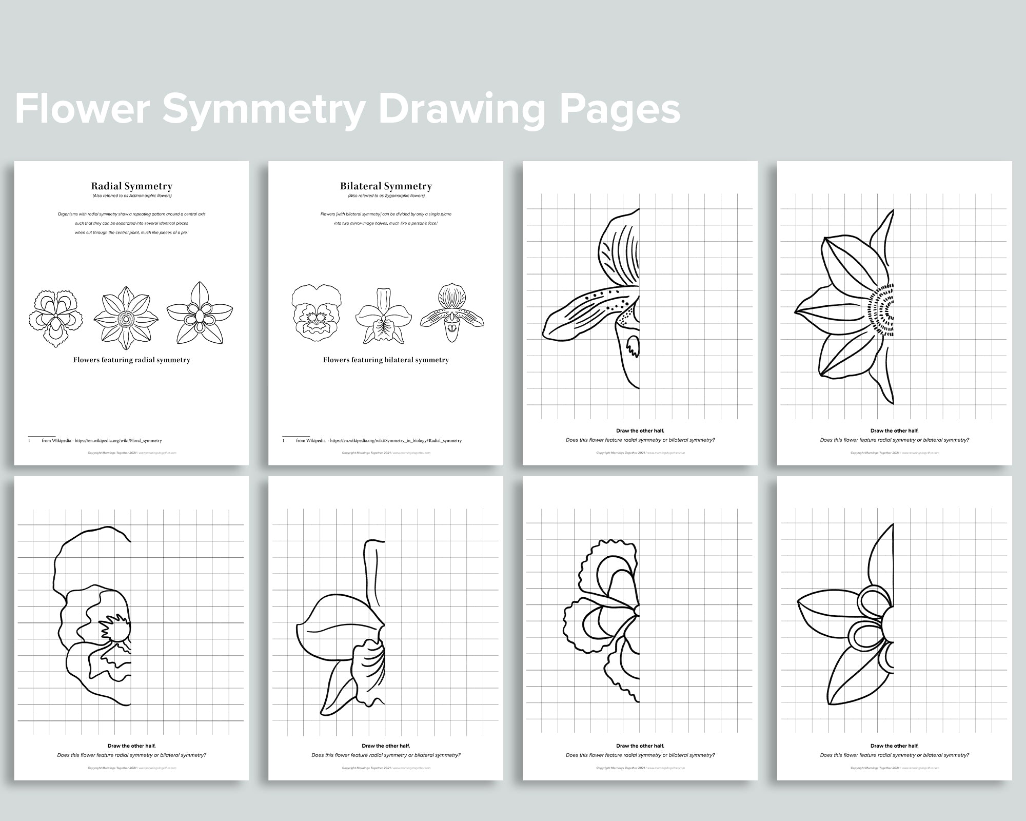 Flower Symmetry Drawing Pages