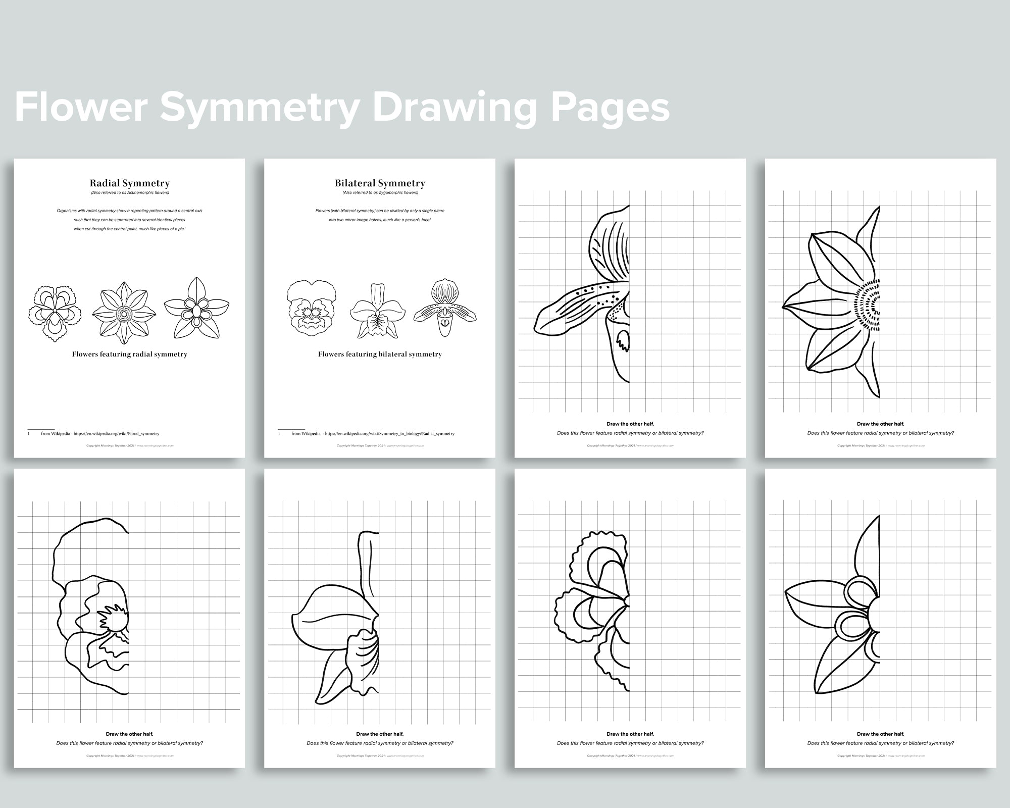 2.2.A6 Draw with Simple Symmetry (Worksheets) - Overview - Drawspace