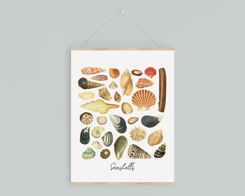 Vintage Shell Print