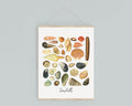 Vintage Shell Print