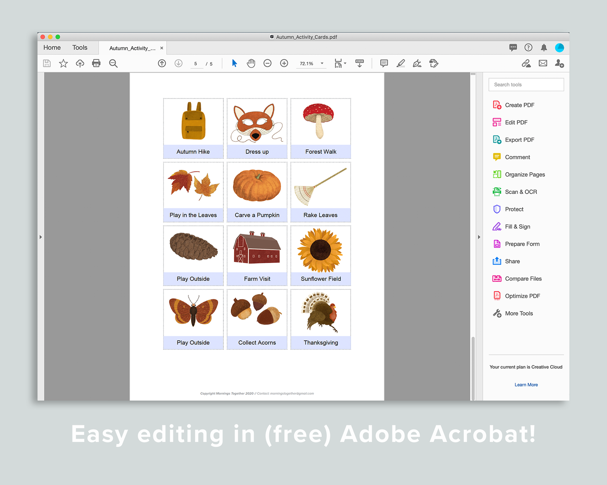 Editable Activity Cards by Season