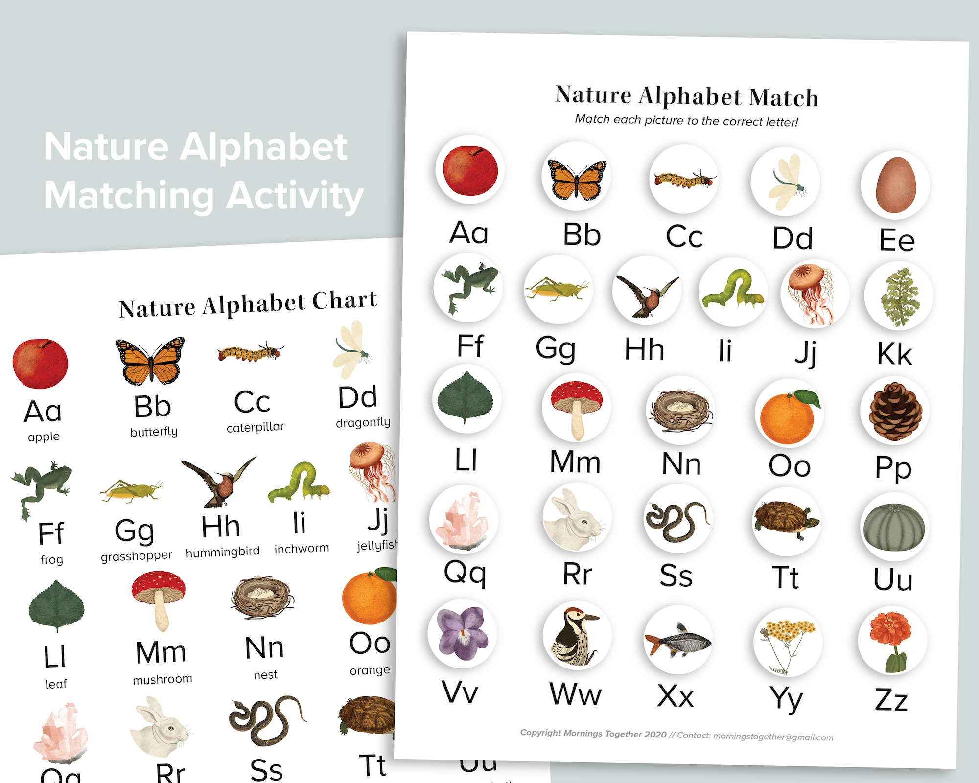 Nature Beginning Sounds ABC Activity
