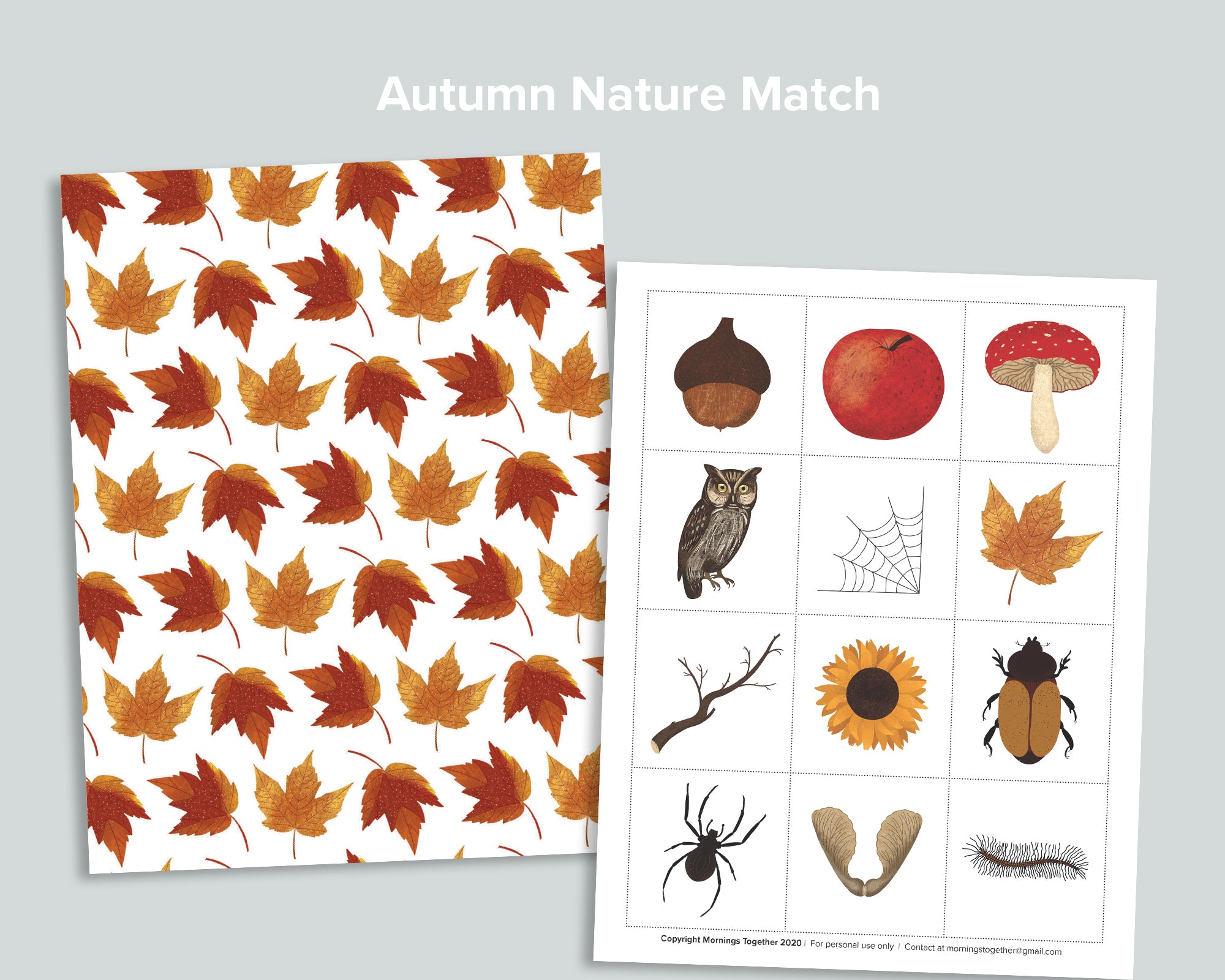 Autumn Bundle