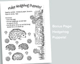 Hedgehogs Letter Pack