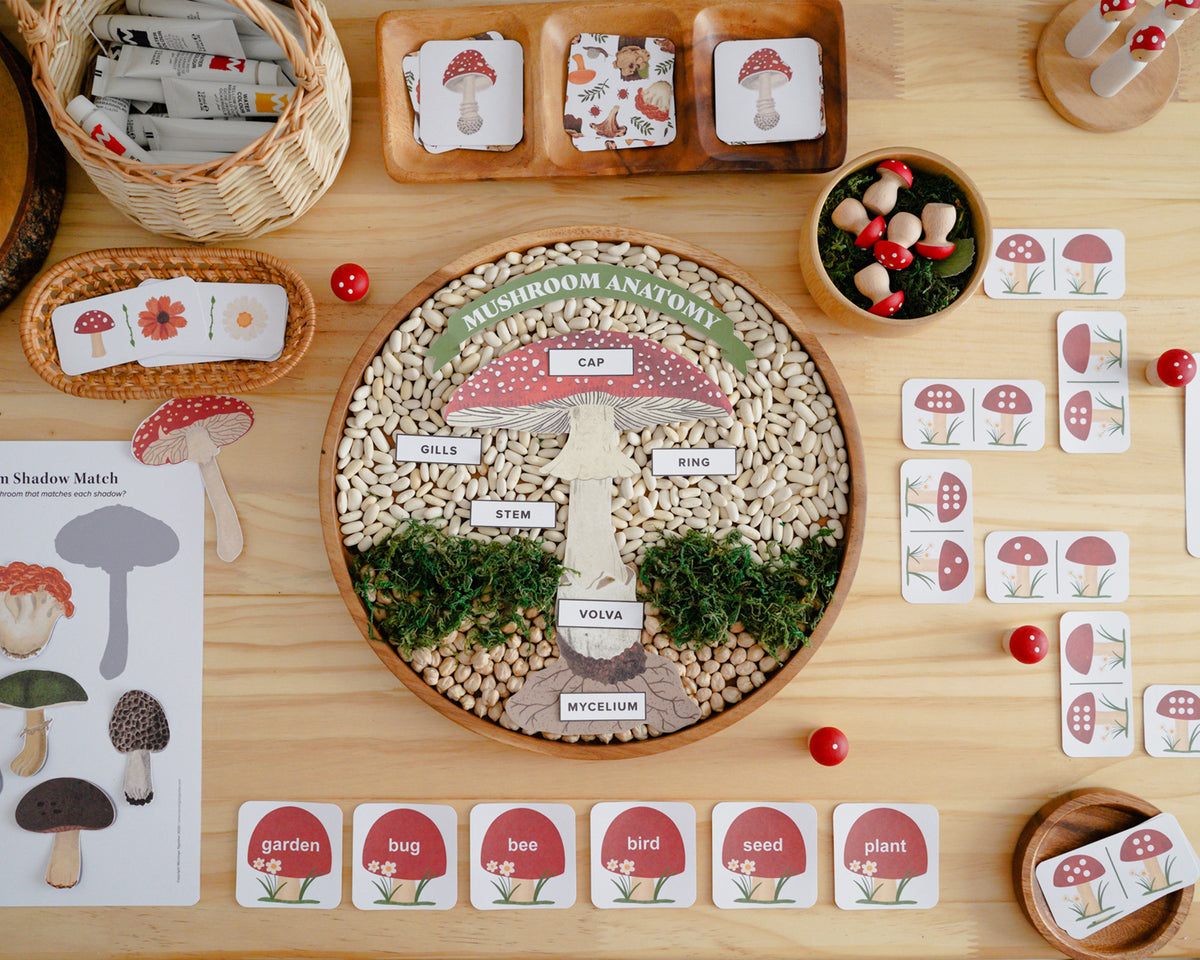 Mushroom Activity Pack – Mornings Together