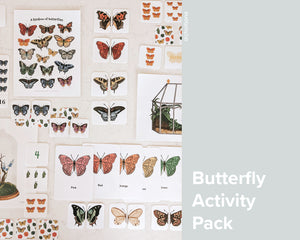 Butterfly Activity Pack