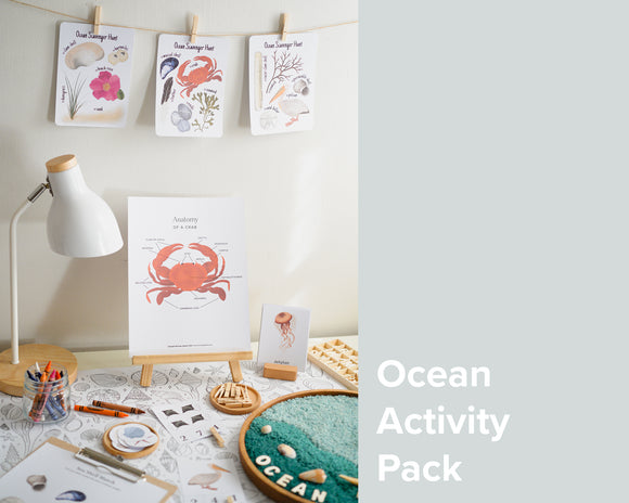 Ocean Activity Pack