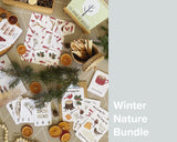 Winter Nature Bundle