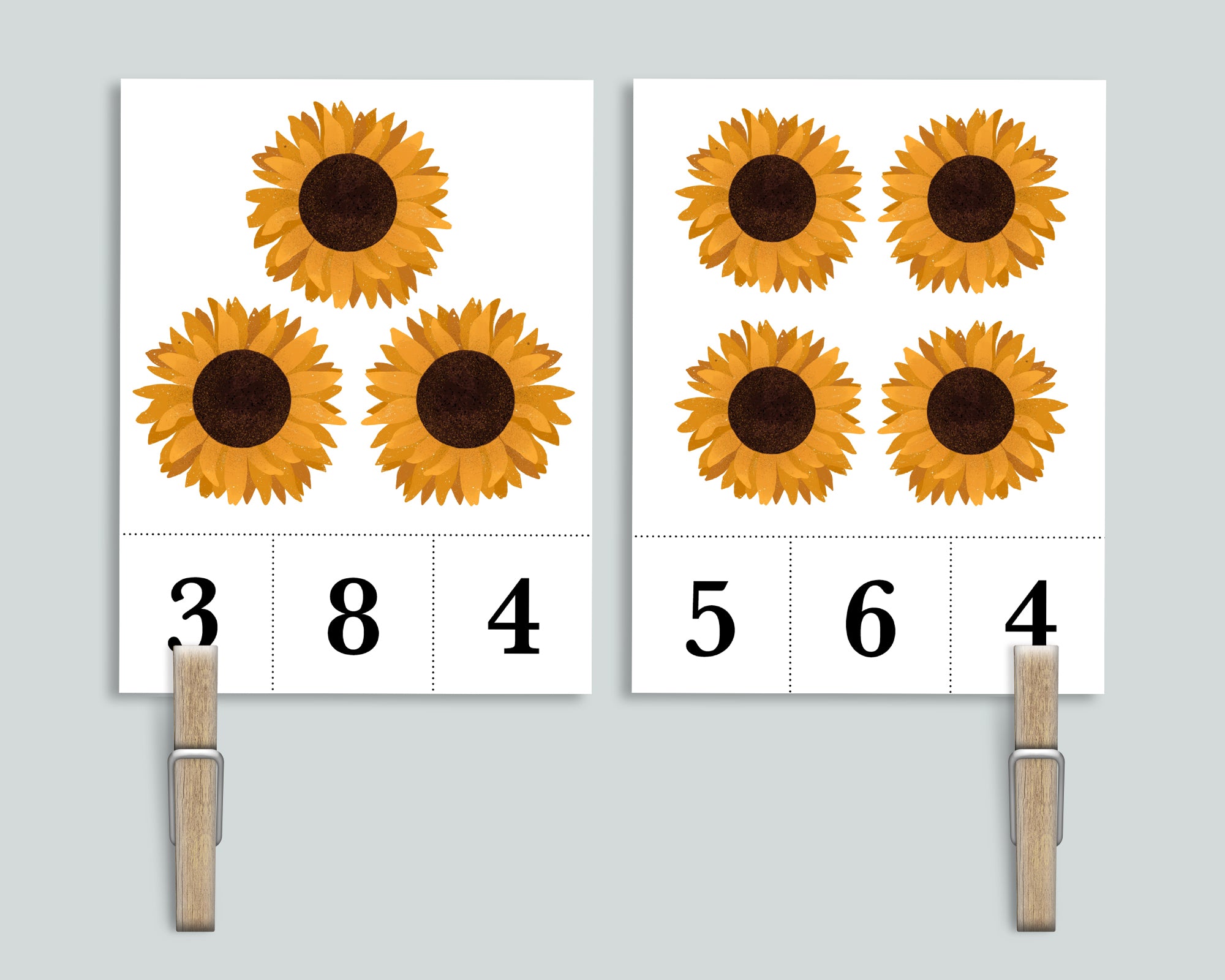 Sunflower Count and Clip Cards