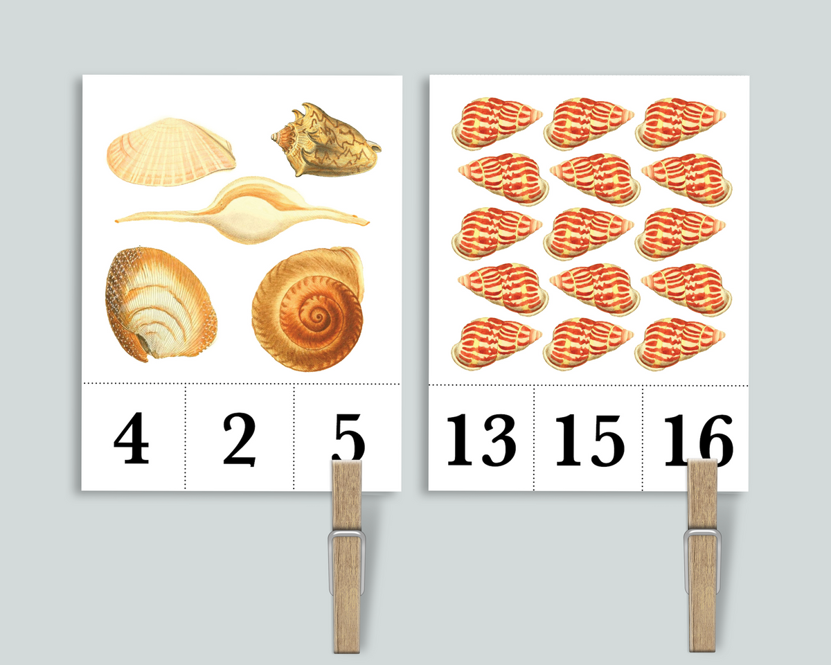 Shell Count and Clip Cards – Mornings Together