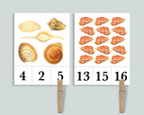 Shell Count and Clip Cards