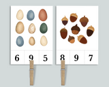 Nature Count & Clip Cards