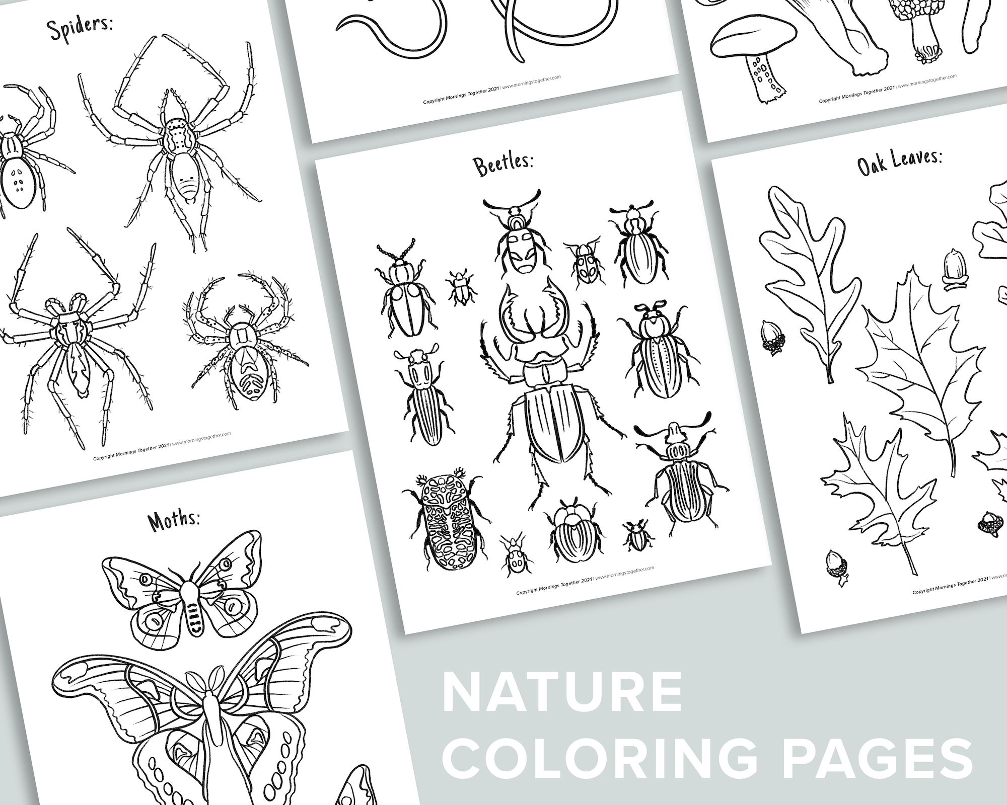 Nature Coloring Pages