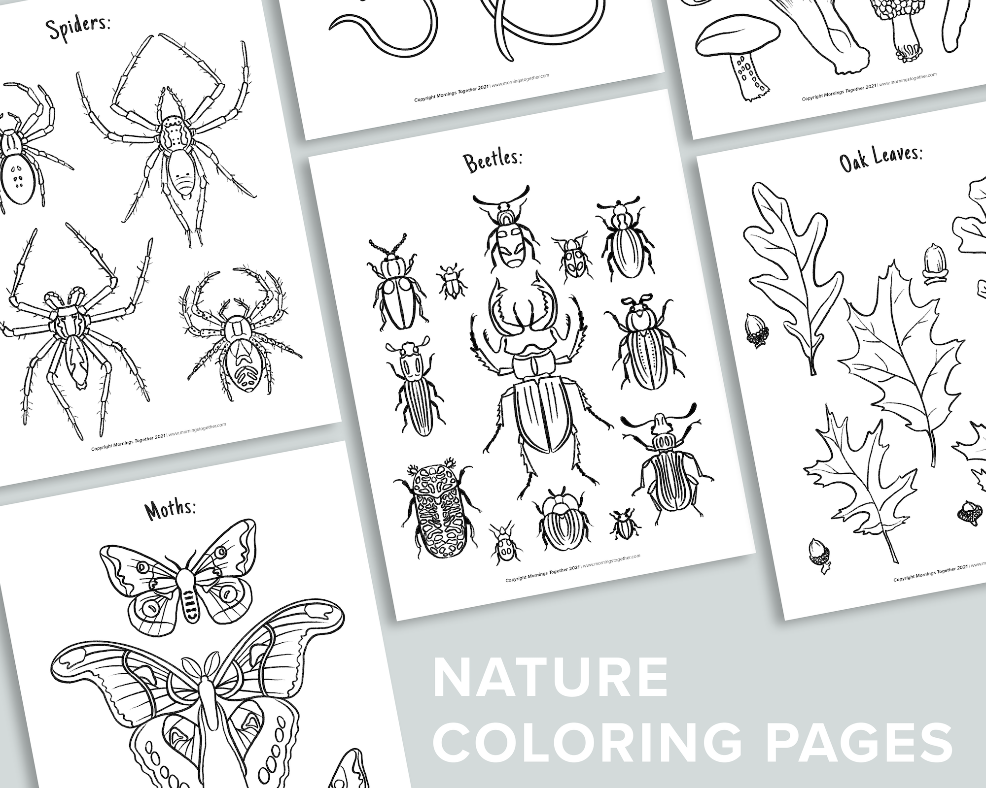 Nature Coloring Calendar – Mornings Together