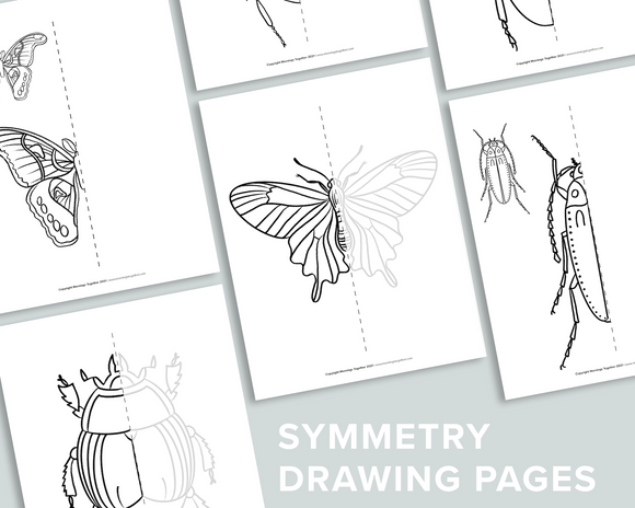 Symmetry Drawing Pages