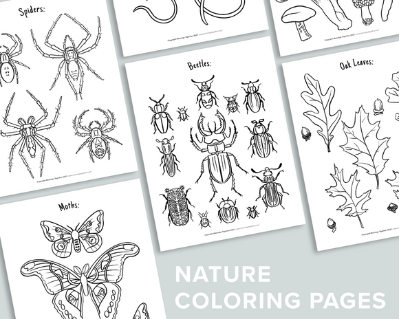 Nature Coloring Pages