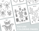 Nature Coloring Pages
