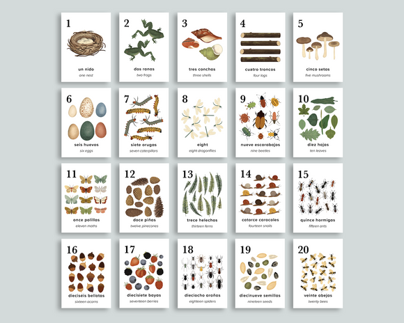 Nature Counting Cards (Spanish)