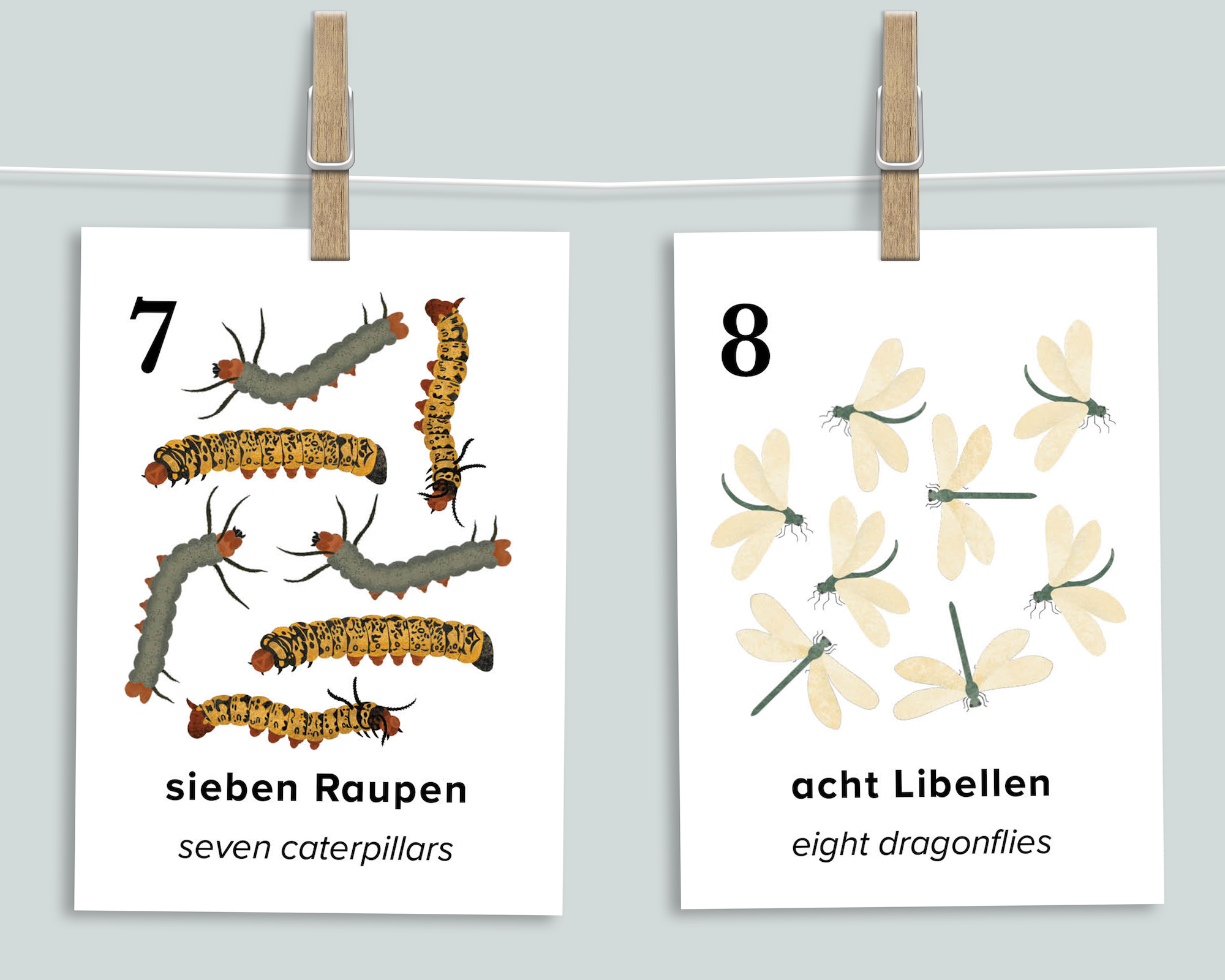 Nature Counting Cards (German)