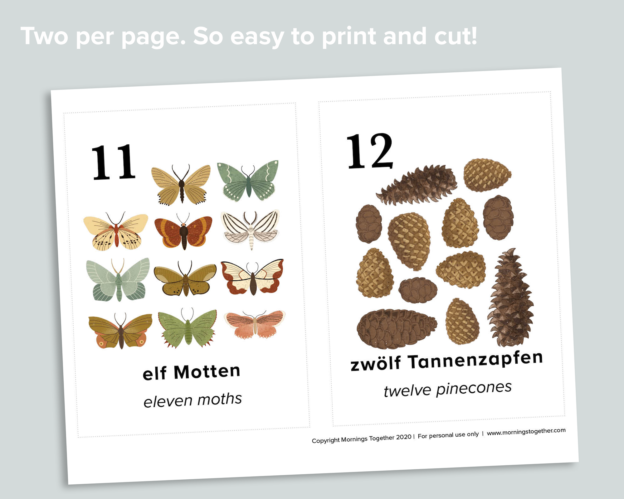 Nature Counting Cards (German)