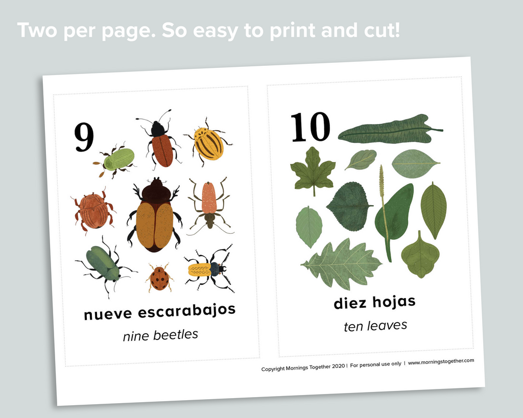 Nature Counting Cards (Spanish)