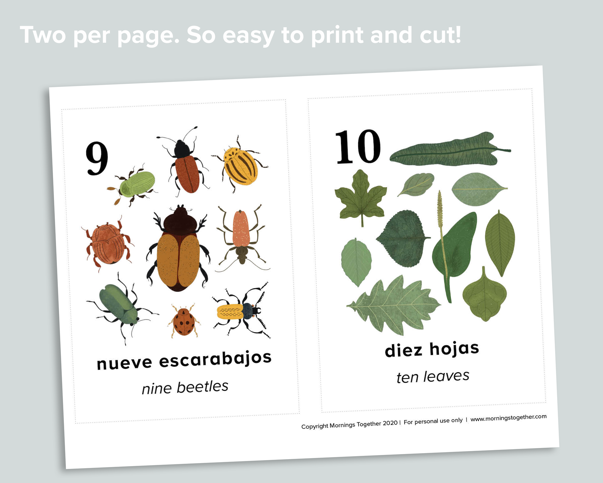 Nature Counting Cards (Spanish)