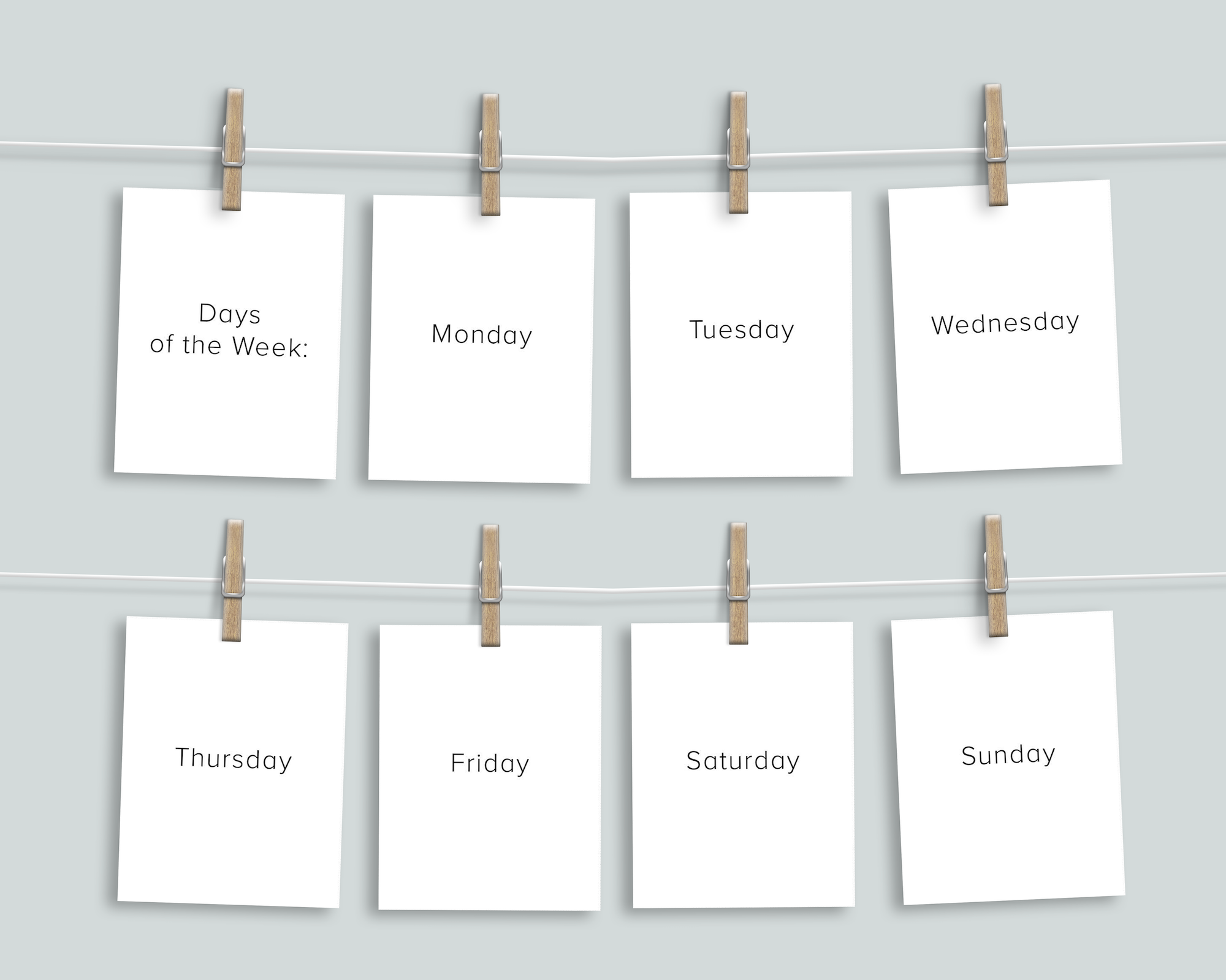 Days Months Seasons Flashcards