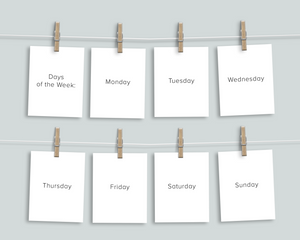 Days Months Seasons Flashcards
