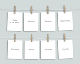Days Months Seasons Flashcards